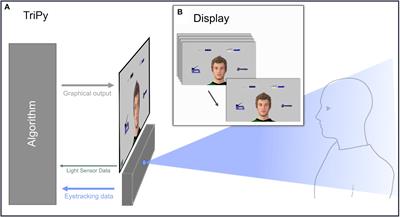 Inferring Interactivity From Gaze Patterns During Triadic Person-Object-Agent Interactions